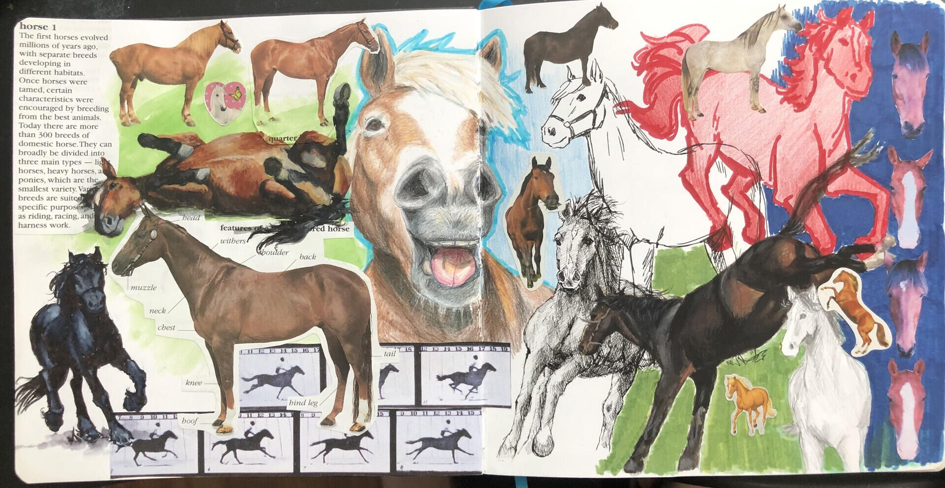 Horse collage from my sketchbook. Just for fun :)