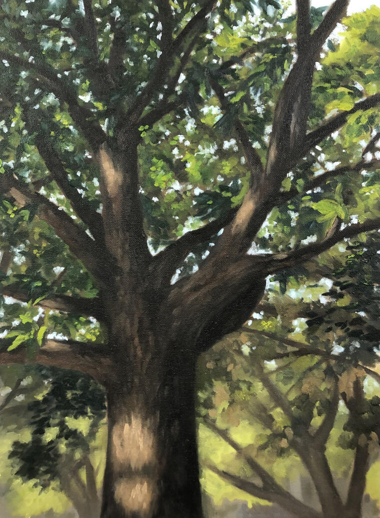 Plein air tree painting, oil on canvas