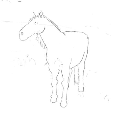 Horse